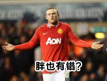 三狮和三猫谁厉害,英格兰足球三狮军团三喵