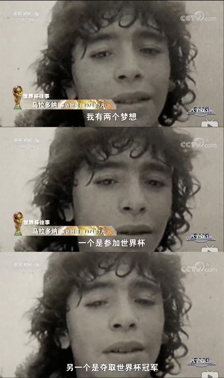 世界杯一百零八将,世界杯100大进球马拉多纳