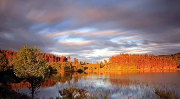 俄罗斯美女看世界杯,世界杯俄罗斯美女视频