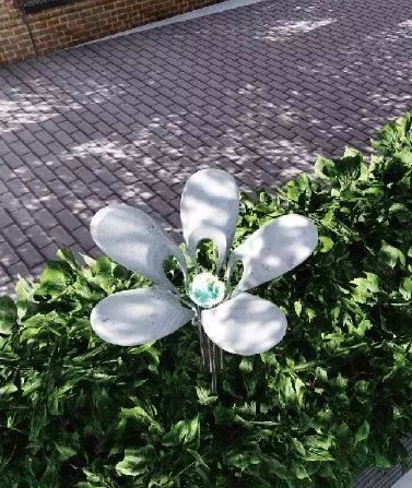 宝山最美的樱花路,宝山浪漫樱花路图片