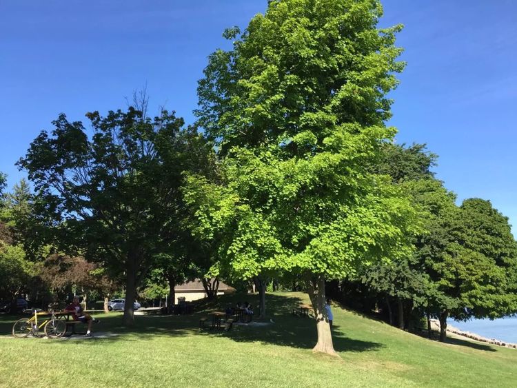 八位佳人在远方——初中闺蜜团加拿大游之美好印记