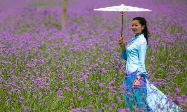 祥和家园杀人事件,祥和家园门口杀人案