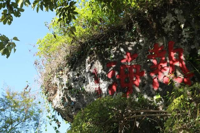 把身心交给火山热海：开启一段洗心洗肺怡情怡身的健康之旅