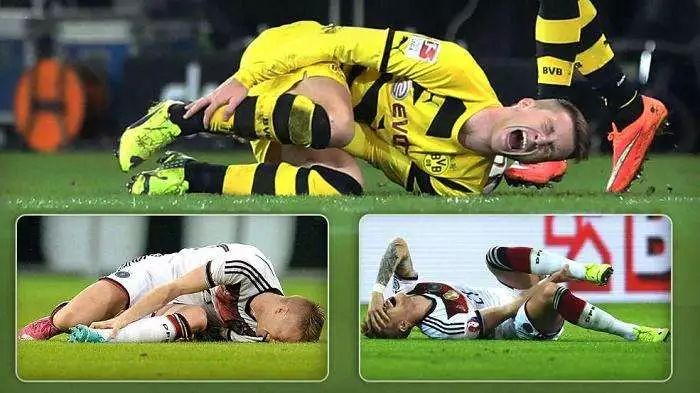 六年级女生必看,六年级女生看的小说推荐