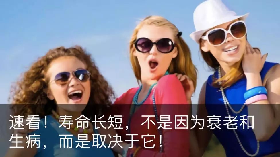 世界杯经典球衣,世界杯球衣相片