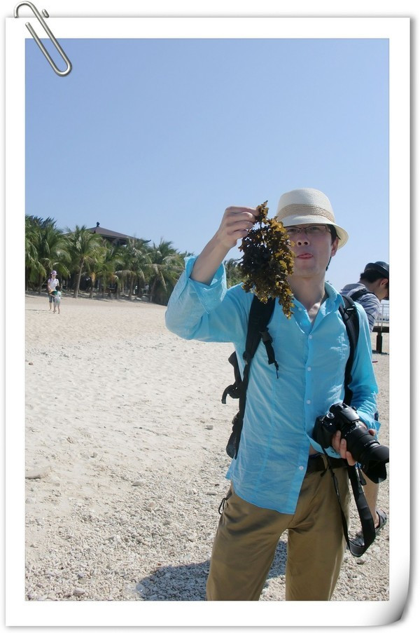 带着梦想去远行视频,带着梦想出发走过春夏秋冬