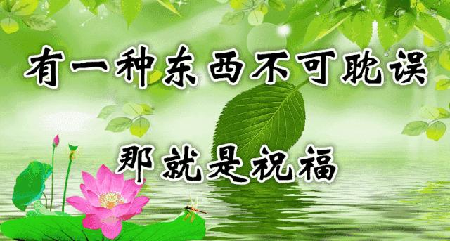 14张会动的照片,会动的照片大全大图