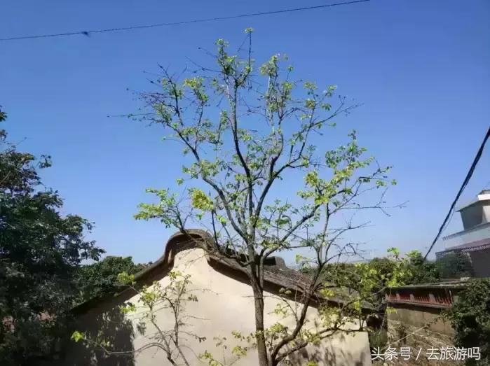 福建小垦丁镇海角骑行一日游,厦门旅游东山攻略路线