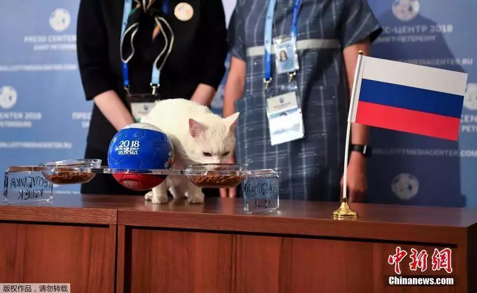 速看请收好这份世界杯观赛指南,世界杯今晚赛事安排