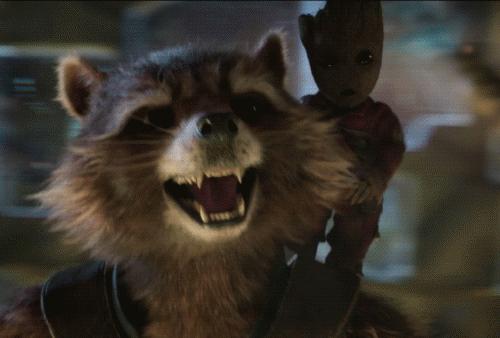 中国人民直播看熊猫，老美人民直播看浣熊！笑