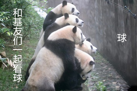 2018年世界杯中国出线概率,2018世界杯中国的最后一场