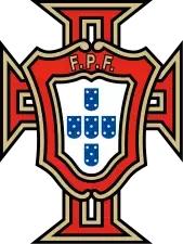 世界杯看球指南全集,球迷必备的世界杯看球指南