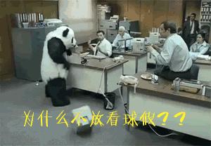 2016足球宝贝名单,足球宝贝活力四射身材