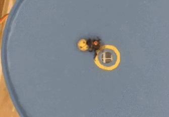 虫虫也能学会“踢球”，这难道是要参加世界杯的节奏？