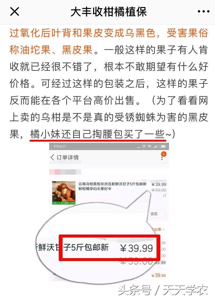 柑橘锈壁虱危害果实到几月,柑橘的虫害锈壁虱有哪几种特效药