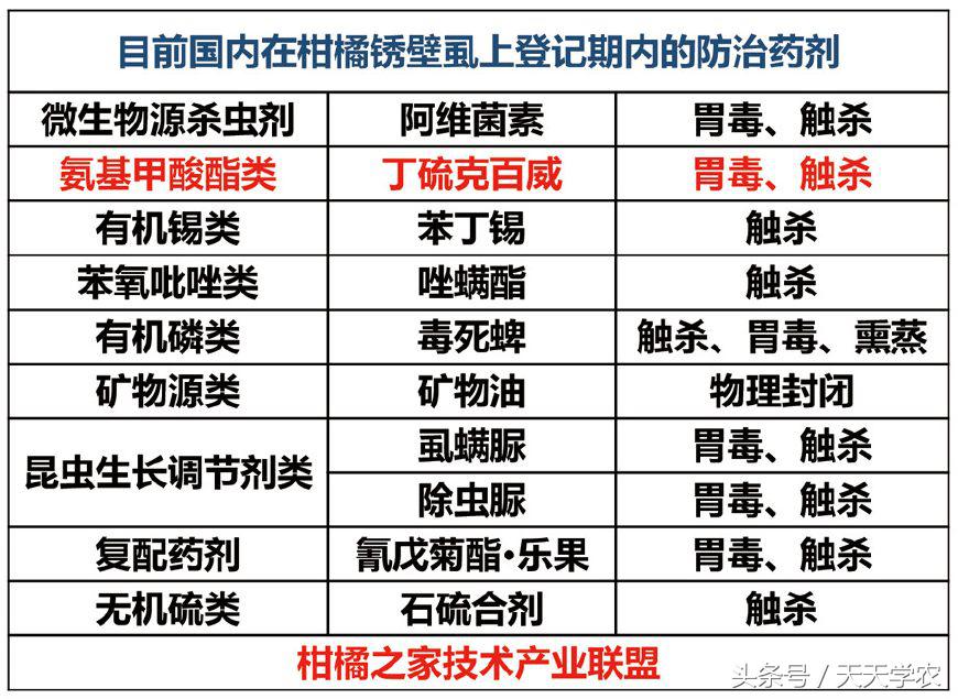 黑皮果锈壁虱,锈壁虱的黑皮能掉吗