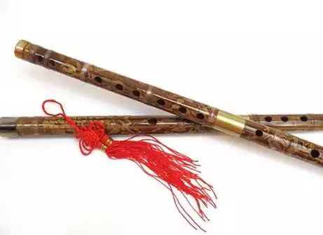 世界十大最难学的乐器,世界上公认十大最难学的乐器