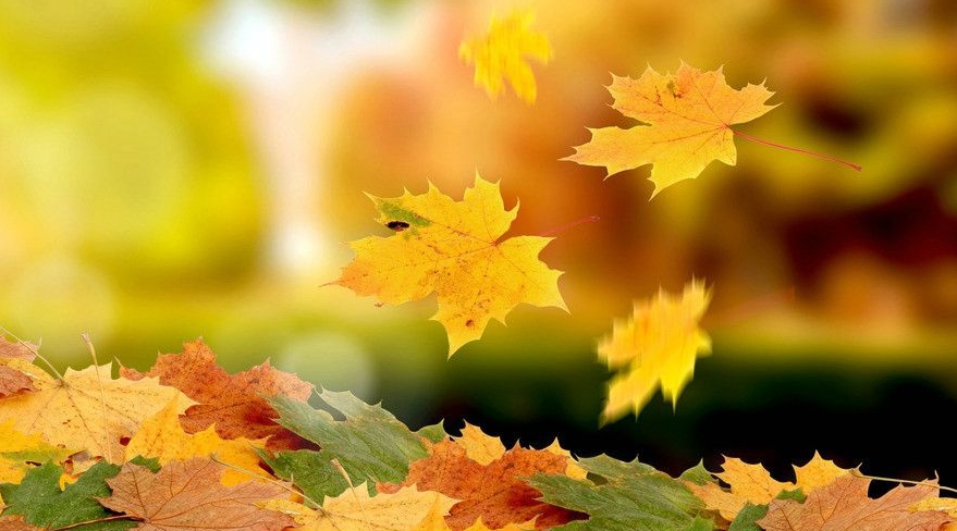 临朐最常用的土话是哪个,临朐方言拿古什么意思