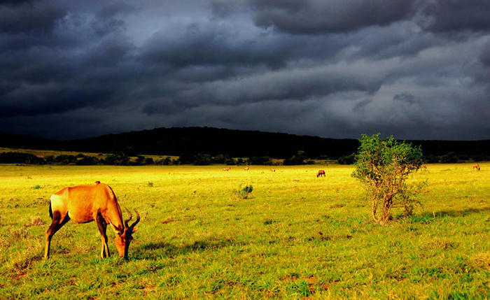 难得的惬意时光周末,享受周末这悠闲惬意的时光