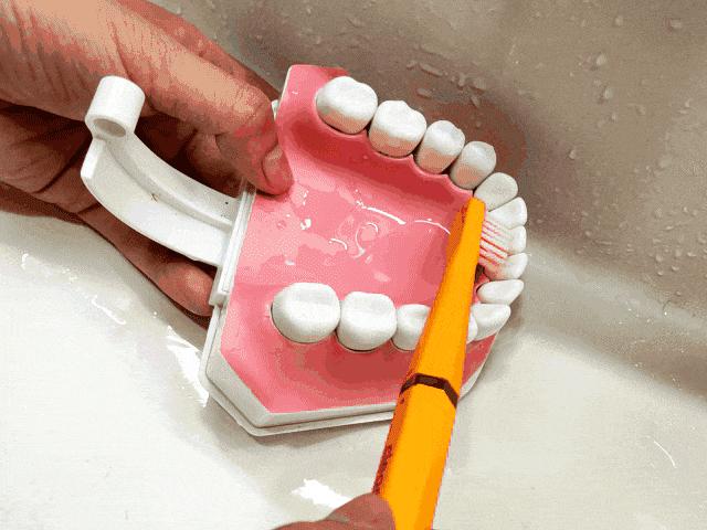 高伟光同款牙刷,高伟光牙刷介绍