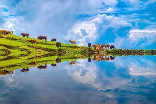 新华社攀枝花,新华社三亚