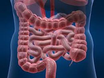 益生菌再认识，它是如何调节小儿免疫的？