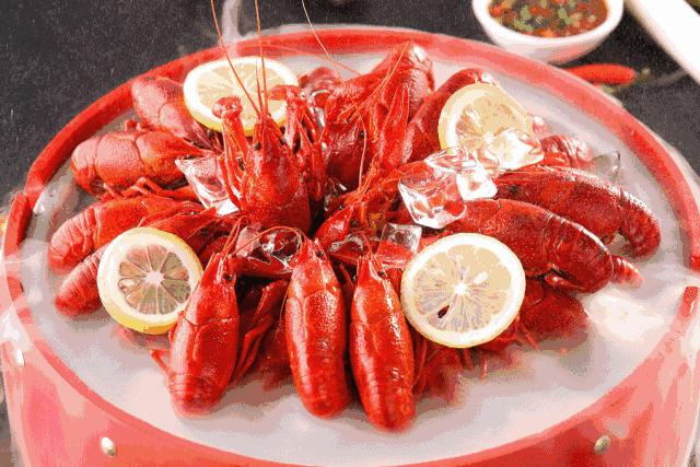 2019女排世界杯中国俄罗斯,俄罗斯世界杯亚洲区12强中国战绩