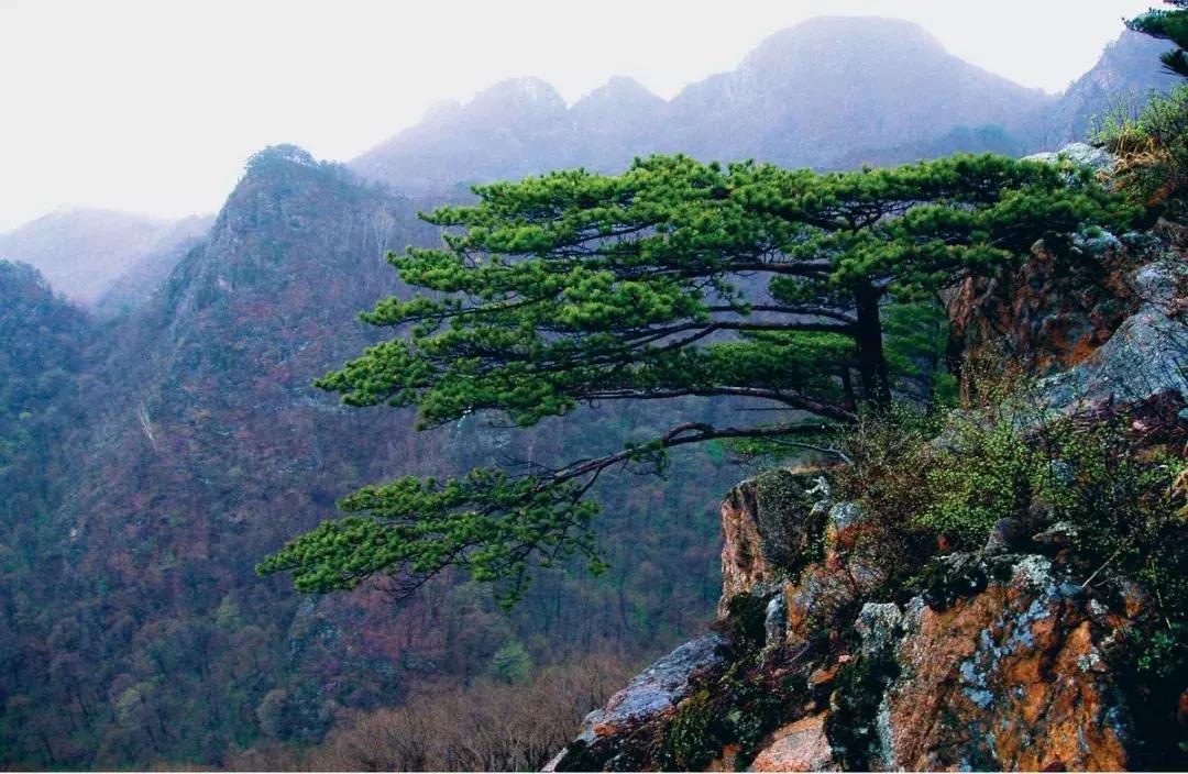 高铁旅游线路top10推荐,一条完整的旅游线路图