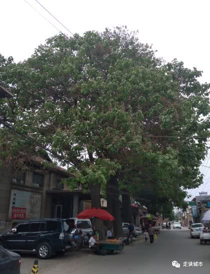 涿州最好的鼓楼街,走读城市之河南中牟
