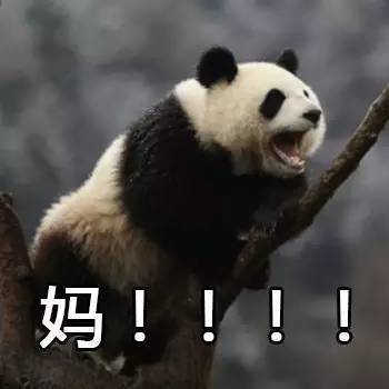 世界杯表情包搞笑图片2024,卡塔尔世界杯吉祥物表情包