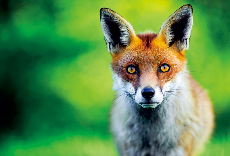 鎯犳儬鎽勫奖浣滃搧娆ｈ祻,鎯犳媿鎽勫奖