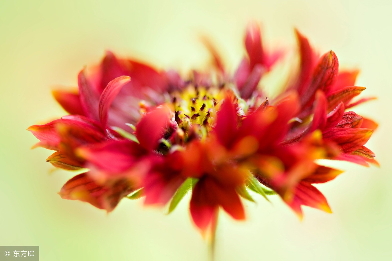 生活小常识收藏,各种实用的生活小常识