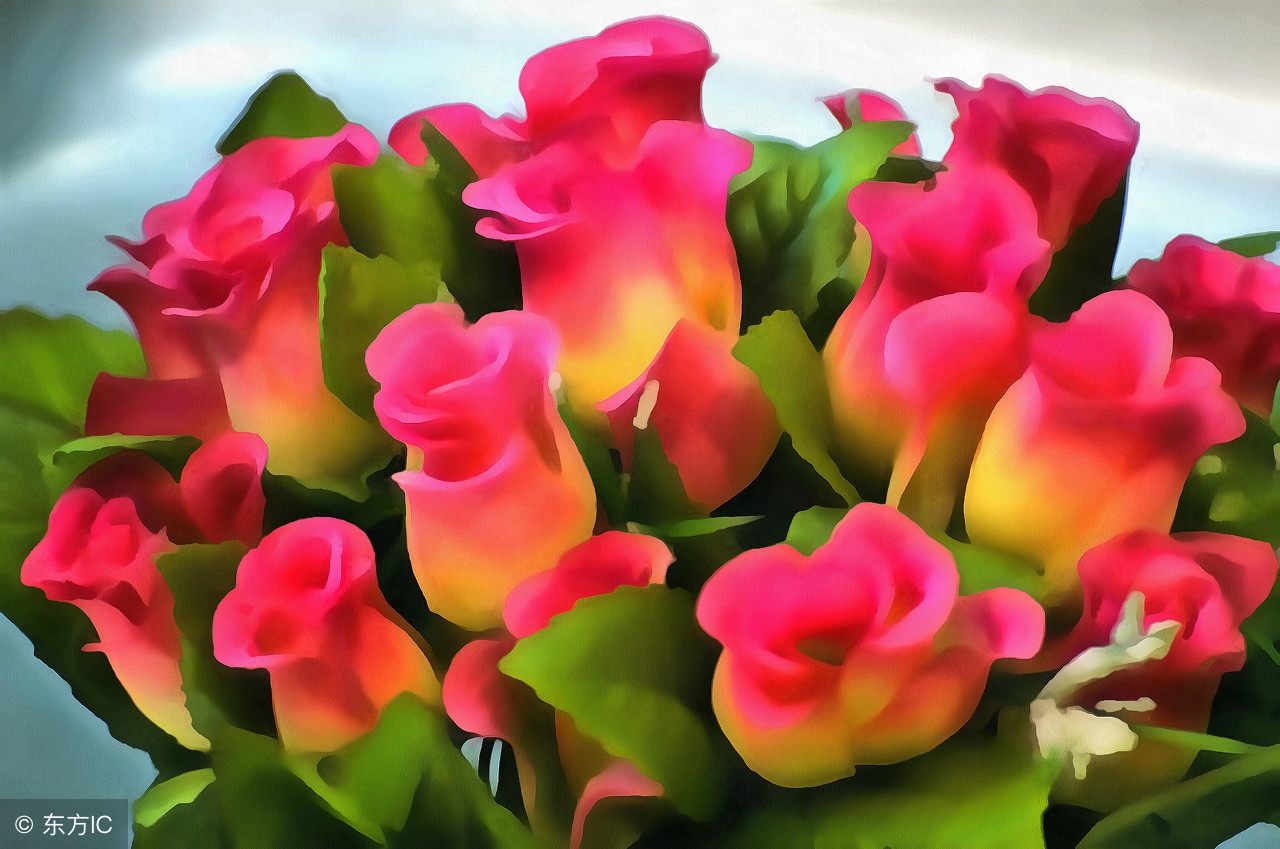 生活小常识收藏,各种实用的生活小常识