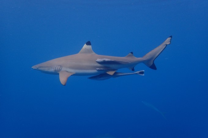 端午来这个绝美海岛,端午海岛游