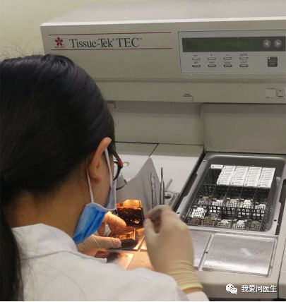 「疑问」病理报告，为啥不能“立等可取”？