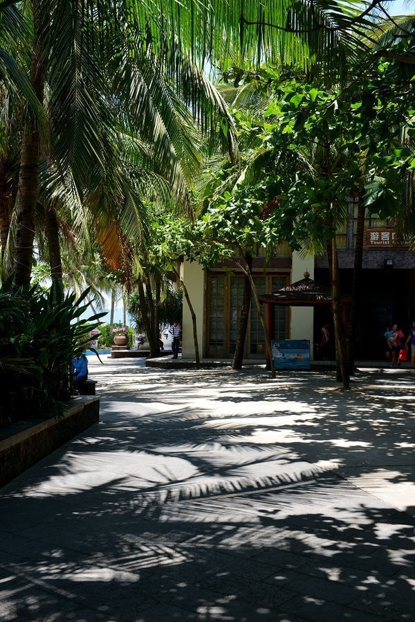 四天四夜三亚攻略,三亚民宿四天三晚民宿推荐