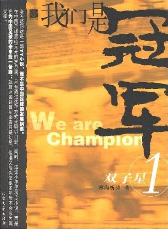 十大公认最好看的足球小说,十大经典足球网络小说