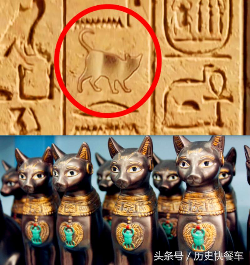 喵星人的变化史,喵星人养猫13年经验分享