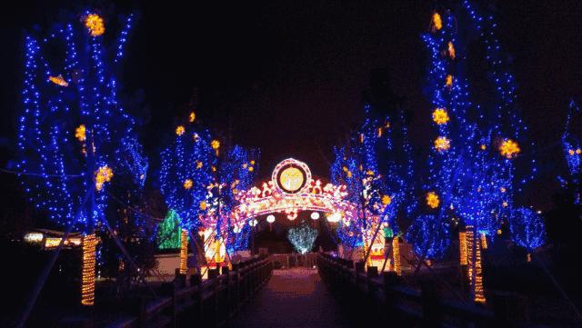 义乌游玩好去处义乌海洋世界,义乌五一亲子游推荐水上乐园