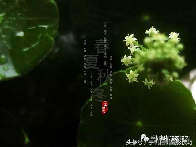 怎么学会给图片起名字呢,如何给照片取名字呢