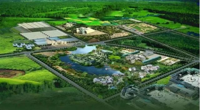 父亲节的特别旅行,父亲节带父亲一起出游