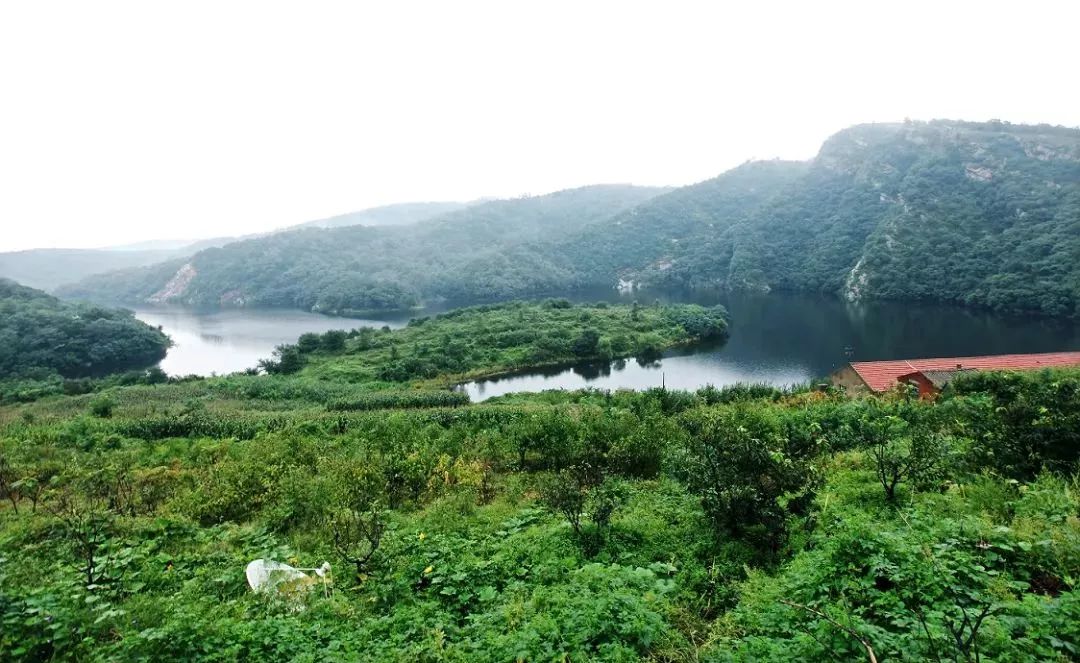 大连自驾游的游记,大连近郊游自驾推荐