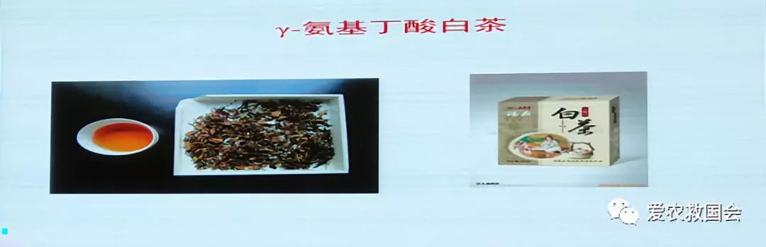 商机处理基本步骤,白叶茶培育