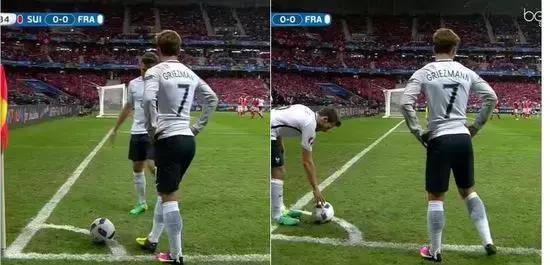 世界杯肉肉的仙人球,世界杯胖嘟嘟