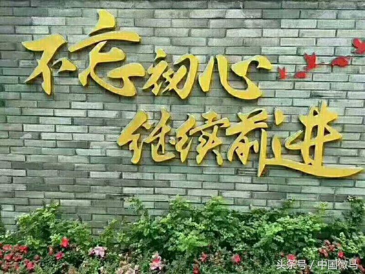 「白沙微马」粽于微马，粽心献上一份情