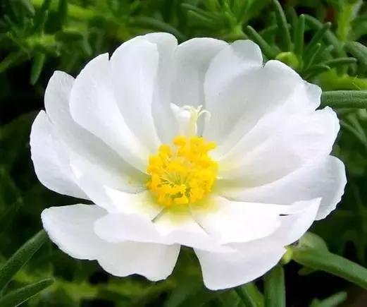 明天是父亲节祝天下父亲节日快乐,父亲节提前祝天下的父亲节日快乐