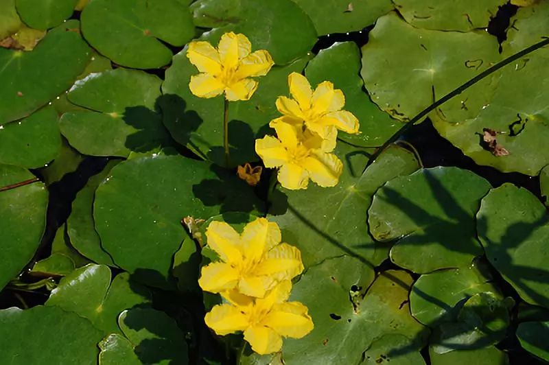 带上你的SuperHero，一起留下最温暖的回忆！