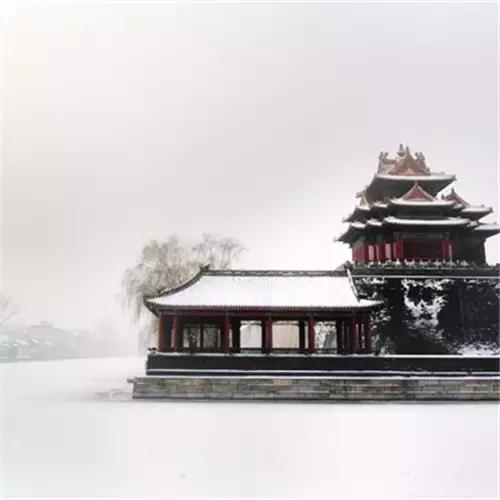 别就知道买买买20个不超50块却让你幸福感飙升的玩意儿