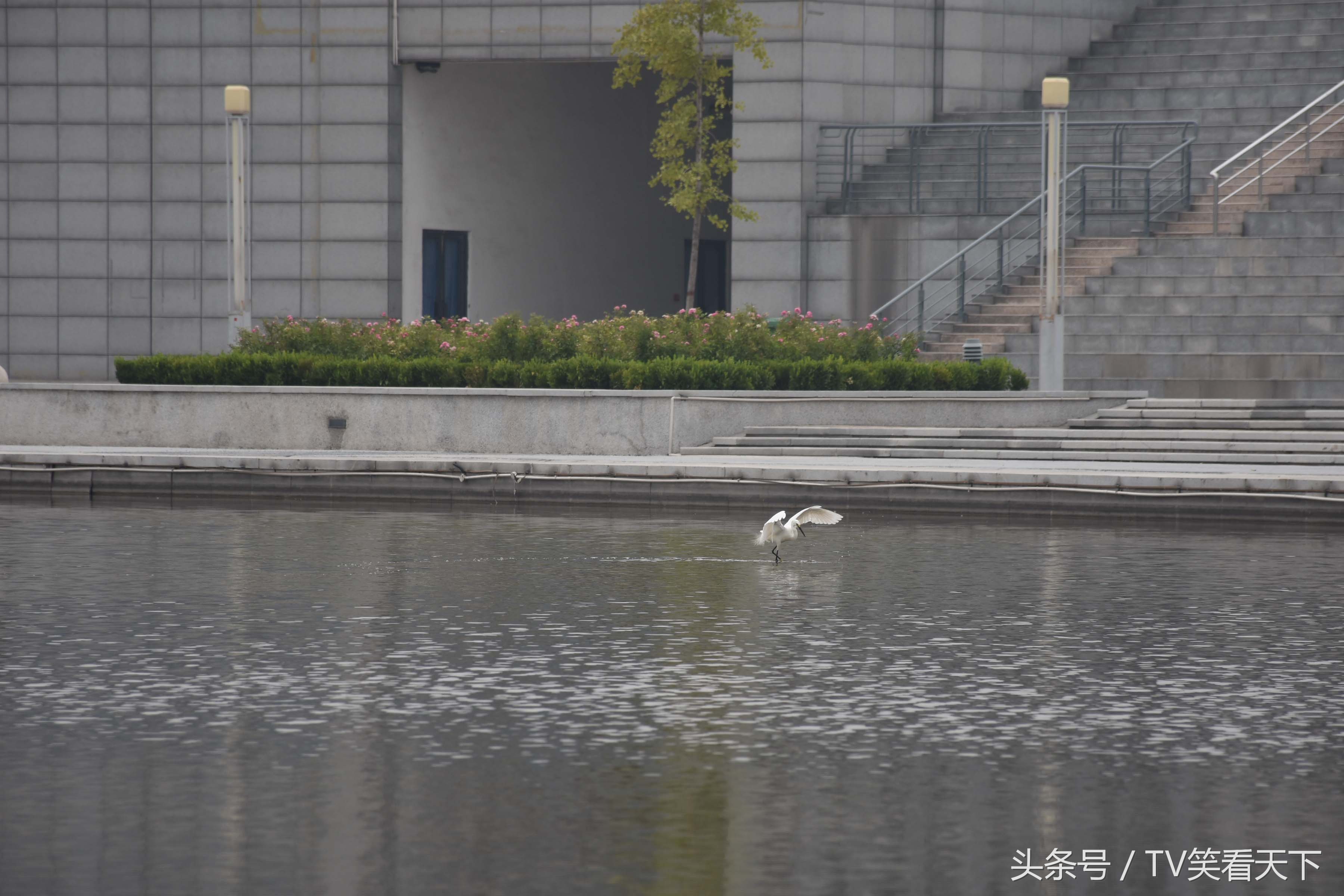 焦作“新体育馆”，有什么好玩的？睁大眼睛！跟我来！