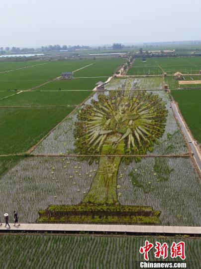 沈北新区锡伯族嘉年华,锡伯族的泥巴节